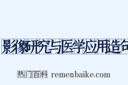 影像研究与医学应用造句是什么意思的图片